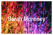 Sarah Moroney