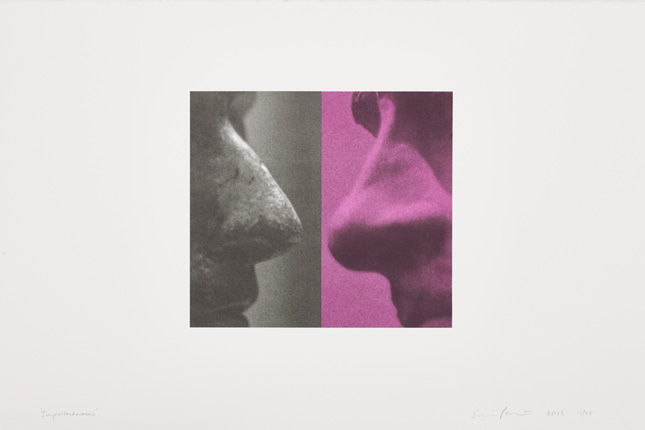 Simon Patterson, mportantnoses, L11, 2013