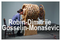 Robin-Dimitrije Gosselin-Monasevic